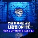 김상식 | 뮤지컬 나혼자만 레벨업 ON ICE 후기 | 아이스쇼 같은 이색공연, 좌석 시야 팁