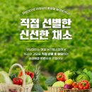 25년 6월 16일 큐브데이 채소 과일 큐브 원재료