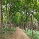 늠내길5코스 정왕둘레길 이미지