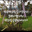 장현목장 이미지