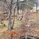 며느리 친정집 화전 이미지