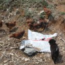 해마루농장 이미지