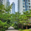 반송동100 이미지