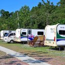 무궁화오토캠핑장 이미지