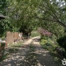 향초목원 이미지