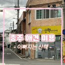 이뻐지는산책 이미지