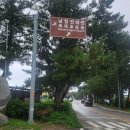 솔바람 Daum카페