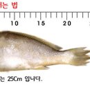 거시기 Daum카페