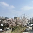 평택대학교(학생관) 네이버블로그