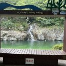 용소카 이미지