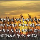 숨어 우는 바람소리 / 이정옥 이미지