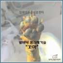 임재성동물의료센터 이미지