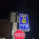 선유식당 | 제주 모슬포 선유식당 제주 남쪽 여행 무늬오징어 포장 후기