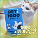 성보펫케어(주) | 펫아이1000 고양이 유산균 후기 (설사 완화 장건강 케어)