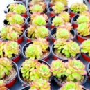 세진농장 이미지