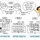 (기초) 도체와 부도체의 구조 (출처: 한전) 이미지