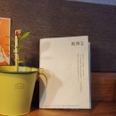 상록수행정사 | 안산 상록수 맛집 추천: 분위기 좋은 한식주점 화화담 방문 후기