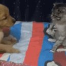 칭구칭구 pc방 이미지