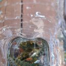 춘천마당발펜션 이미지