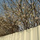 숭의중학교 이미지