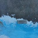 세파에 따르지 이미지