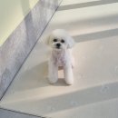 몽실멍실 이미지