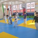 호돌이태권도체육관 이미지