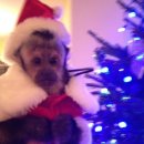 서강빌딩 | [내돈내산]마포 서강팔경 런치 마르세유 🐽 쩝쩝박사의 솔직 후기｜한강뷰 프렌치 파인다이닝