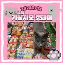 금빛동물병원 | 2024 가낳지모 캣페어 세텍 (이나바 털어온 후기)