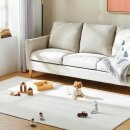 강아지와고양이 | 펫토 강아지매트 미니복도형 사용 후기: 강아지와 고양이 모두 편안한 미끄럼방지 매트