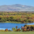 한가로이 이미지