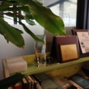 강남 공인 행정사사무소 이미지