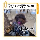 디오션시티 철길공원 | 군산 애견동반 까페 르클래식 ㅡ 구암동 엔틱 유럽감성으로 산책 후 들리기 좋은 코스