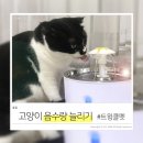 젤리즈펫 | 강아지 급수기 고양이 정수기 트윙클펫 추천