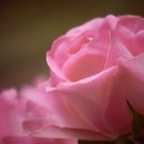 전북대학교 교육대학원 이미지