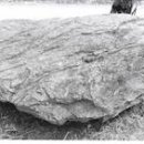 유운1리 이미지