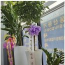 행정사사무소 제안 이미지