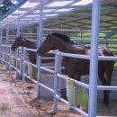 송암목장 이미지