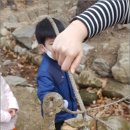 자연유아학교 이미지