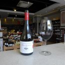 피오네로Pionero | [WINE:INTERVIEW] Morande (모란데) in Chile