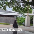 석류애견 이미지