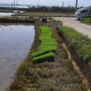 차오름농장 이미지