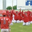 푸릇푸릇 이미지