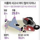 제주동부오토바이