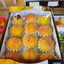 하모니마트법원점 이미지