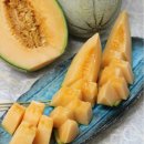 이훈농장 이미지