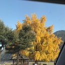 신당마을회관 이미지