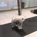 핏앤컨트롤 이미지