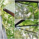 창욱농장 이미지