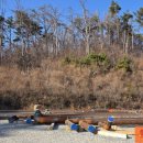 장안읍반룡리-80 이미지